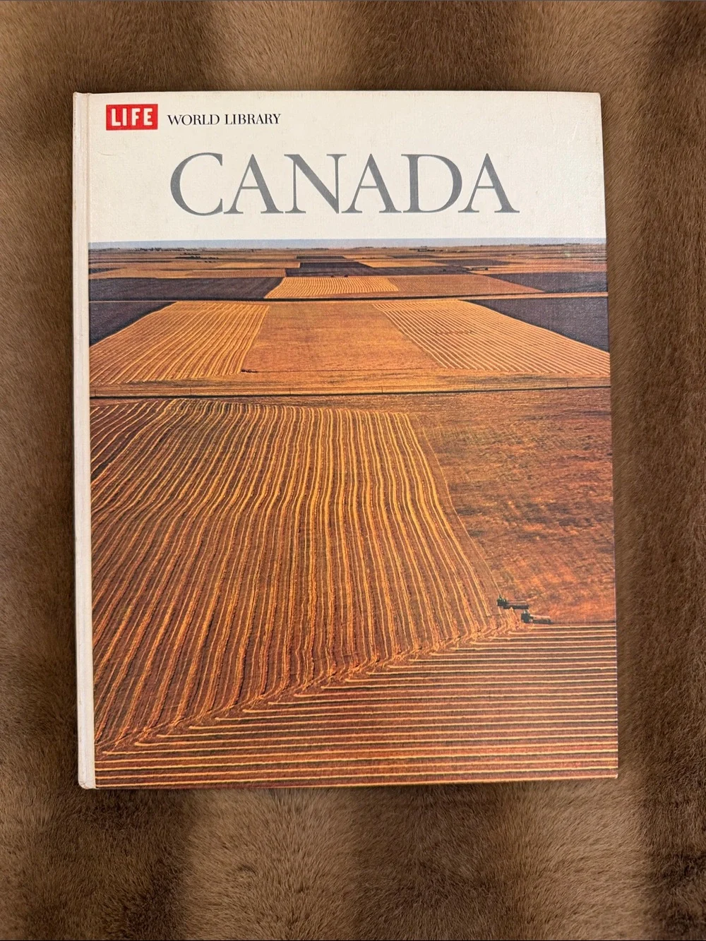 Life World Library Books
